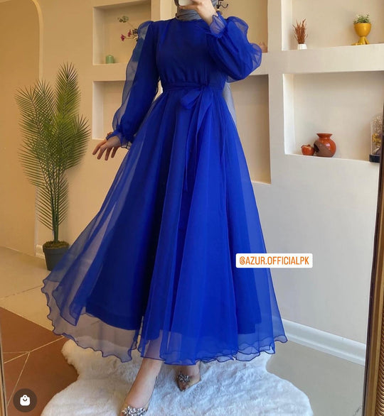 Sheer Elegance Organza Maxi