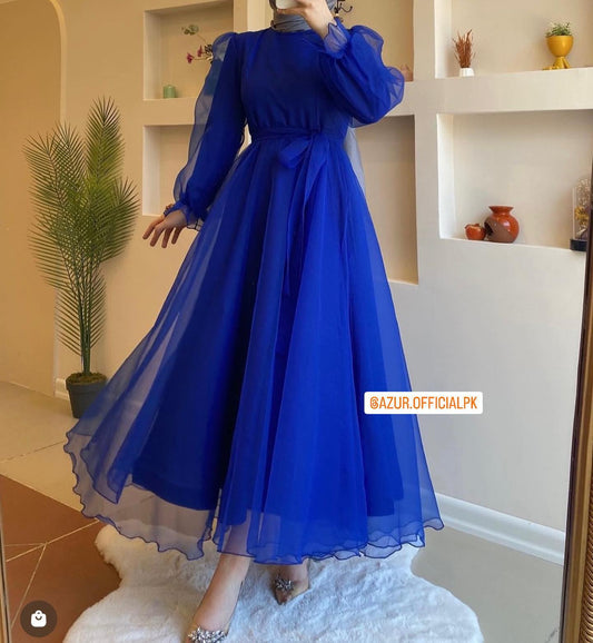 Sheer Elegance Organza Maxi