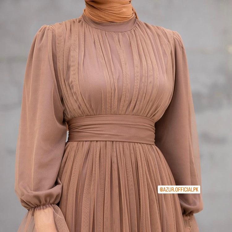 Elegant Pleated Net Maxi Dress