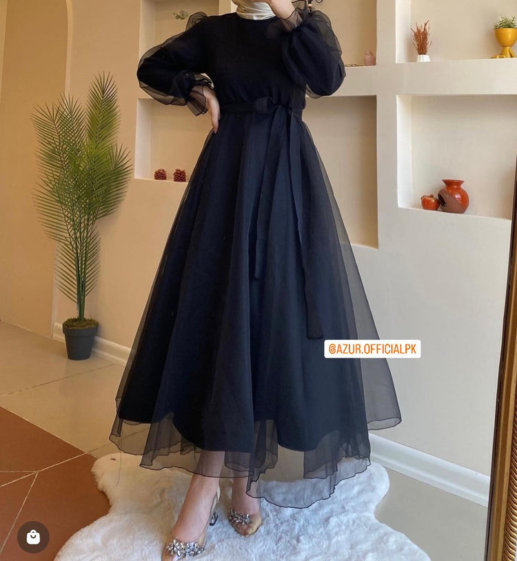 Sheer Elegance Organza Maxi