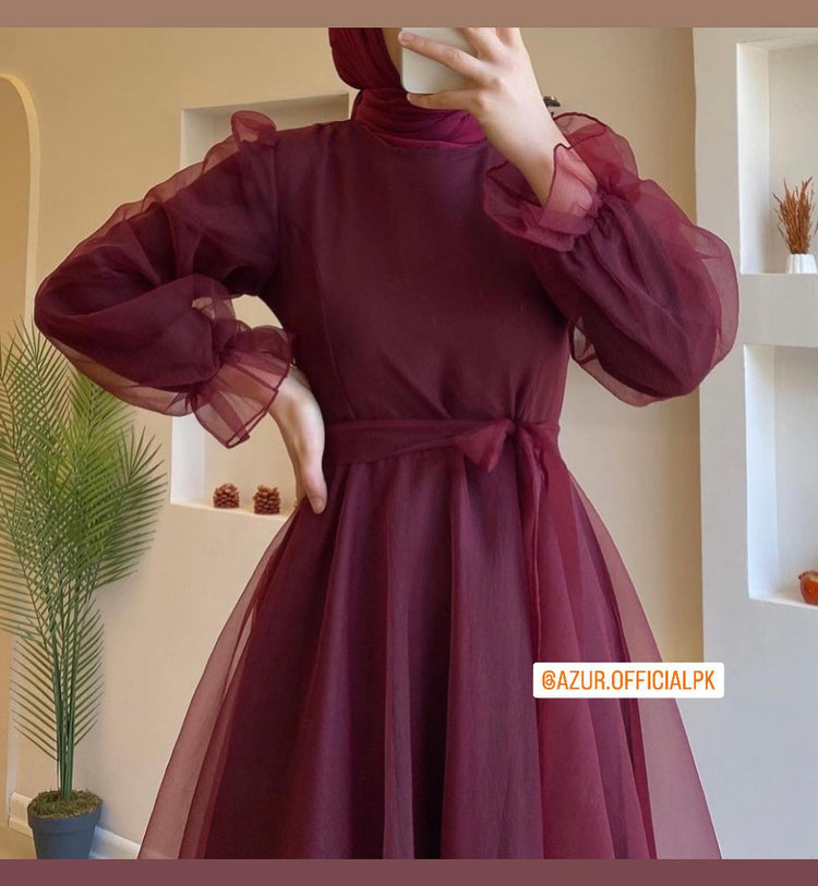 Sheer Elegance Organza Maxi