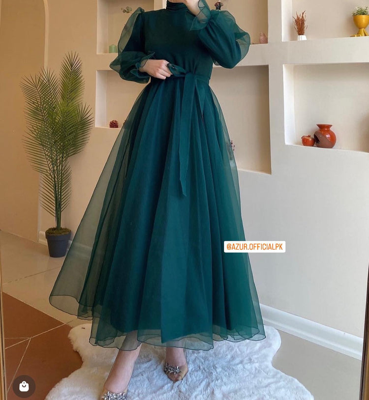 Sheer Elegance Organza Maxi