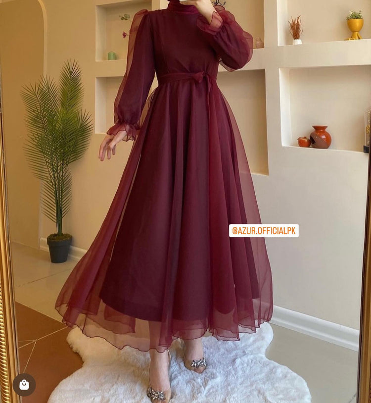 Sheer Elegance Organza Maxi